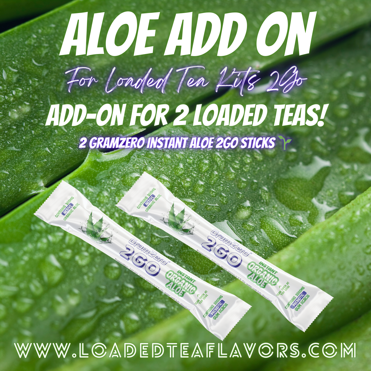 Add On: Organic Instant Aloe Vera Powder Add On for Loaded Tea Kits 2GO ~ Add-On For 2-32oz Teas
