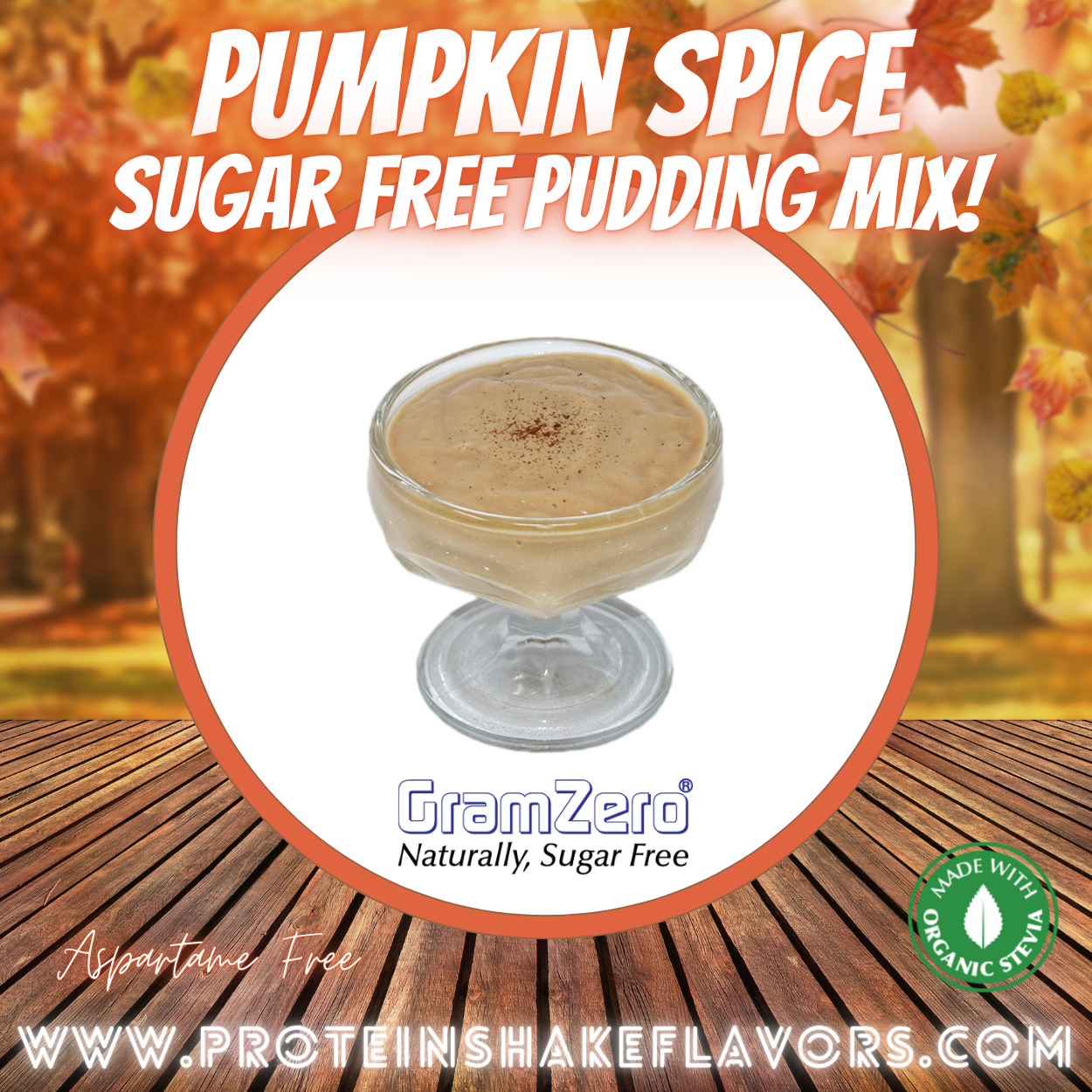 Pumpkin Spice Sugar Free Pudding Mix Without Aspartame to Flavor Protein Shakes and Making Protein Shakes Taste Better